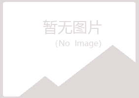 九龙县晓夏工程有限公司